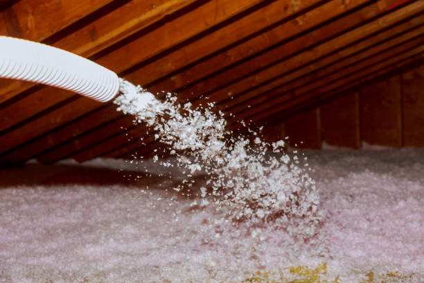 Garage Insulation Installation in Dunlap, TN
