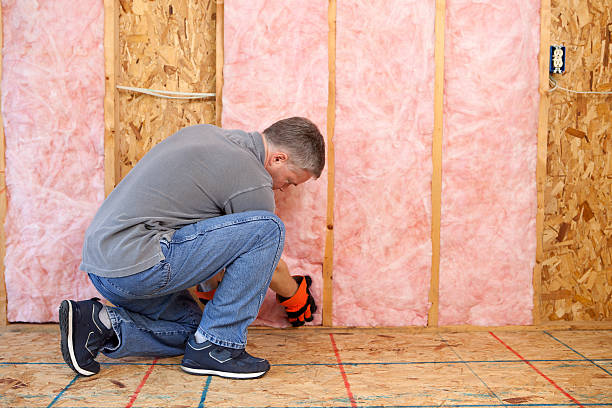 Best Insulation Repair Services  in Dunlap, TN