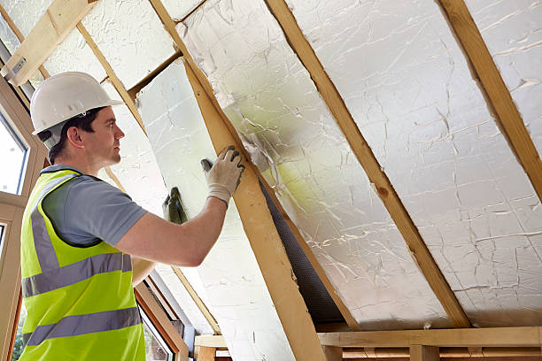 Best Wall Insulation Contractor  in Dunlap, TN