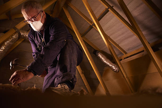 Best Commercial Insulation Contractor  in Dunlap, TN